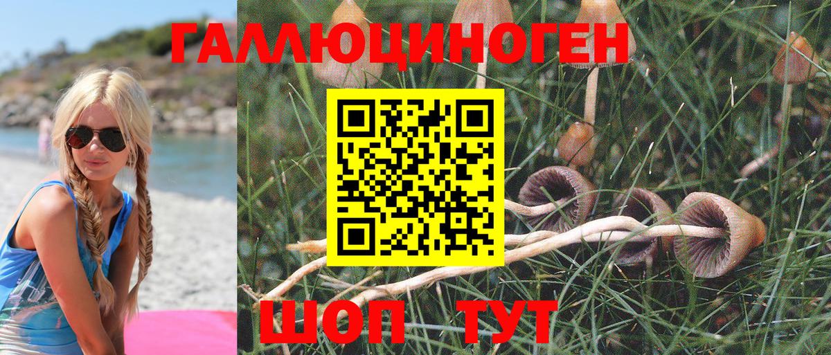 Галлюциногенные грибы Magic Shrooms  Вход с VPN  Минусинск  Псилоцибиновые грибы GOLDEN TEACHER 